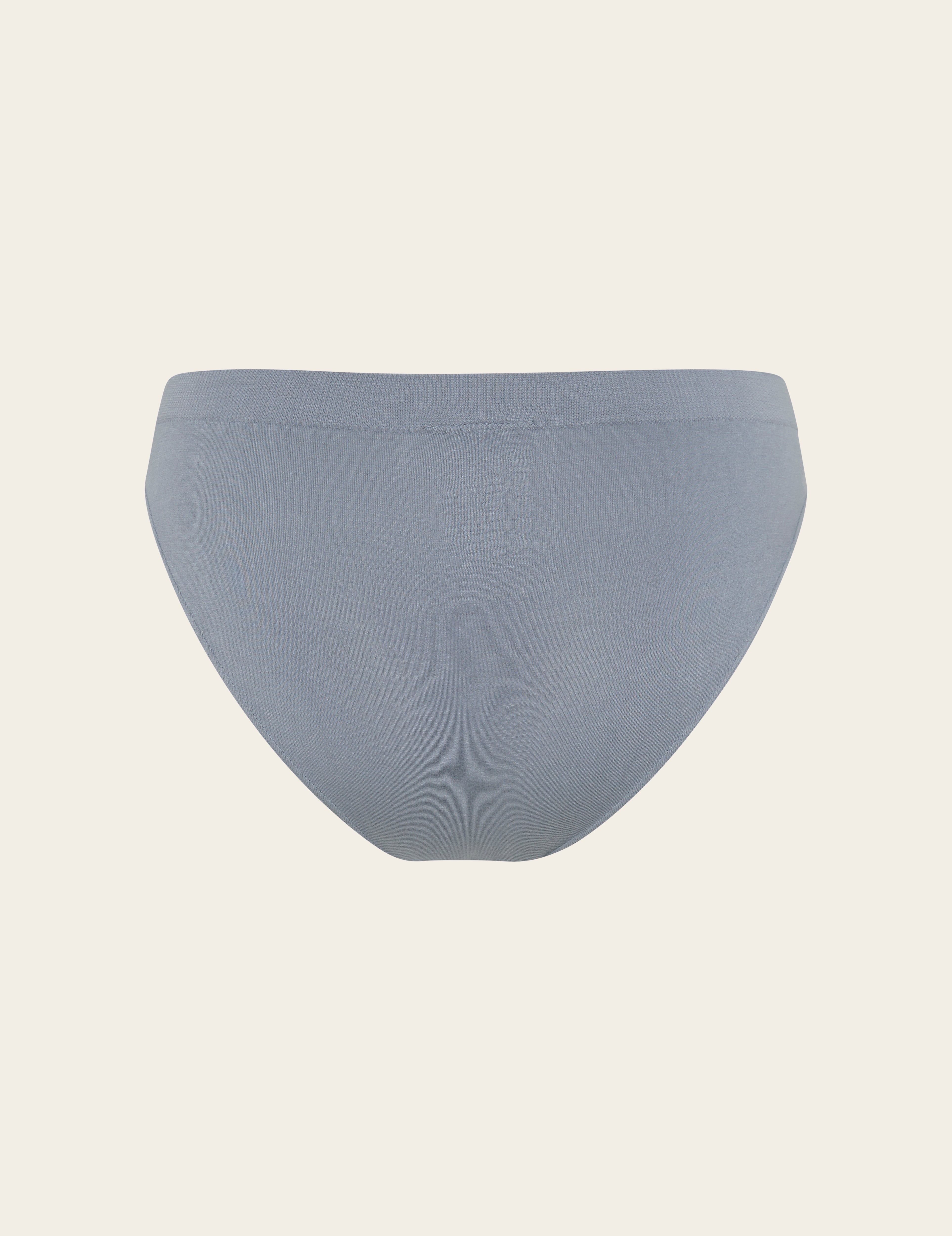 Classic Bikini - Dusty Blue